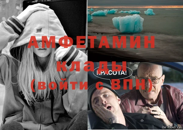 Альфа ПВП Горняк