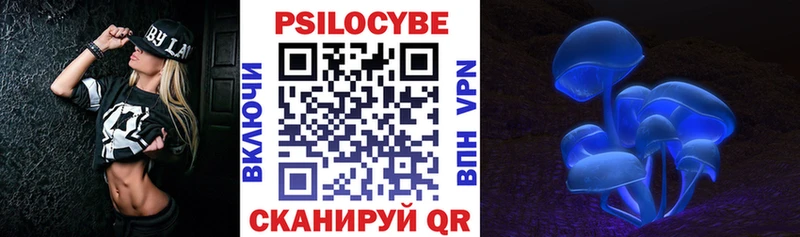 купить закладку  Томмот  Псилоцибиновые грибы Psilocybe 